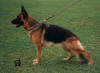 Queen Hartis Bohemia
