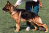 Ursus v. Batu