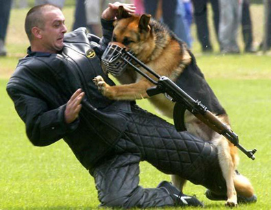 Ussa Sherak